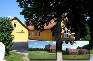 Denmark Drug Rehab in 2001